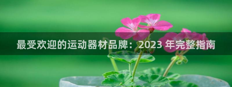 尊龙官网免费下载：最受欢迎的运动器材品牌：2023 